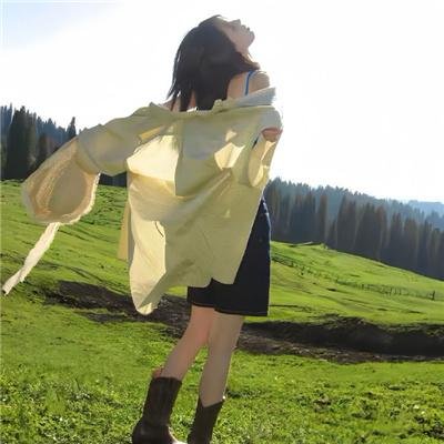 端岛计划
